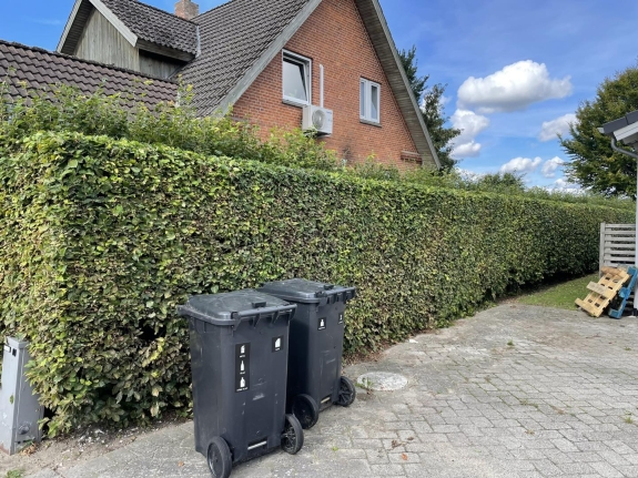 Hækklipning i Holstebro