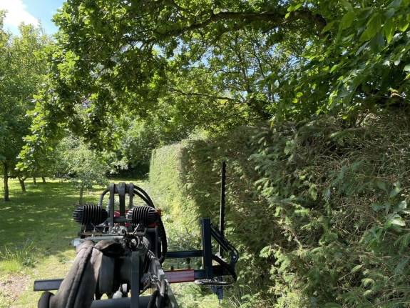 Hækklipning i Holstebro