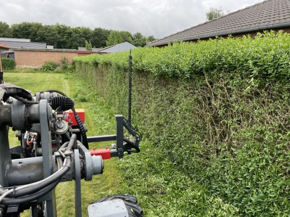 Hækklipning i Viborg