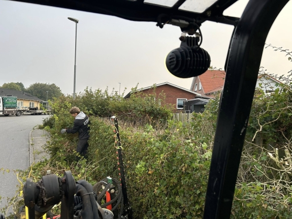 Hækklipning i Viborg