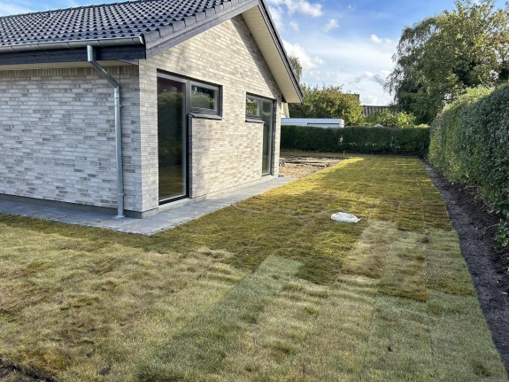 ny græsplæne med rullegræs