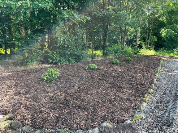 Nyanlæg af have i Holstebro