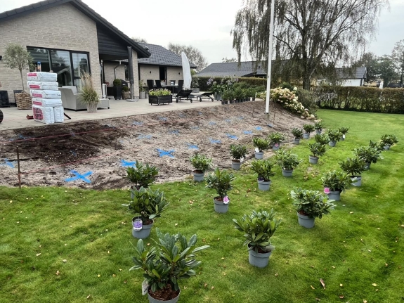 Nyanlæg af have i Viborg