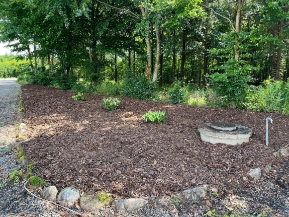 Nyanlæg af have i Skive