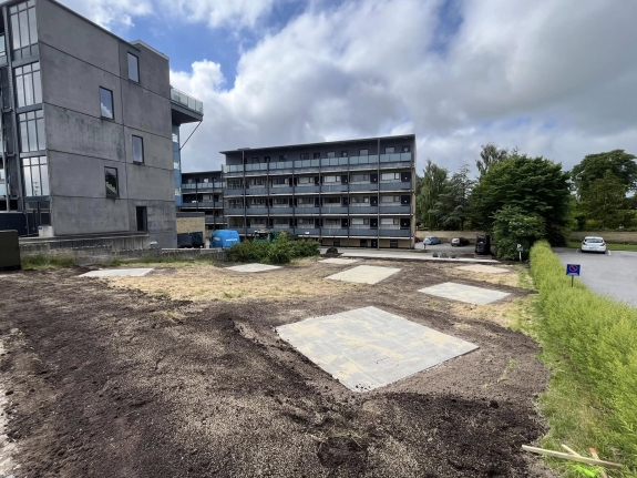 såning af græsplæne