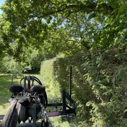 Hækklipning i Holstebro