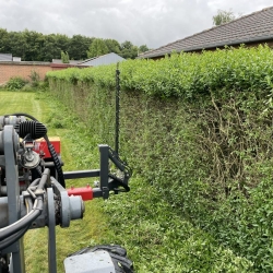 Hækklipning i Viborg