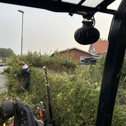 Hækklipning i Viborg