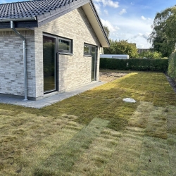 ny græsplæne med rullegræs