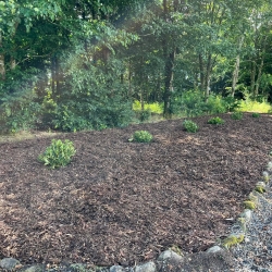 Nyanlæg af have i Holstebro