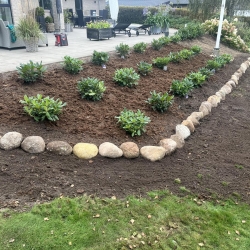 Nyanlæg af have i Skive