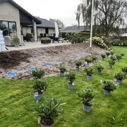 Nyanlæg af have i Viborg