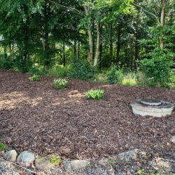 Nyanlæg af have i Skive