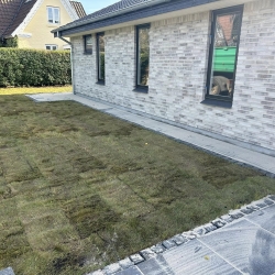 rullegræs ny plæne