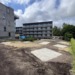 såning af græsplæne