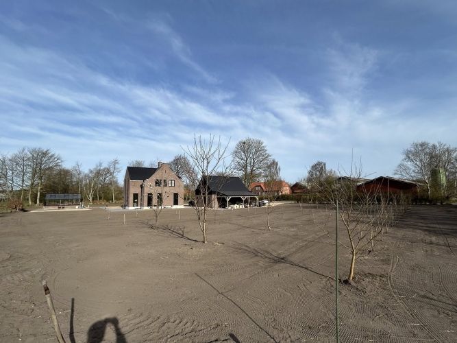 klargøring af græsplæne