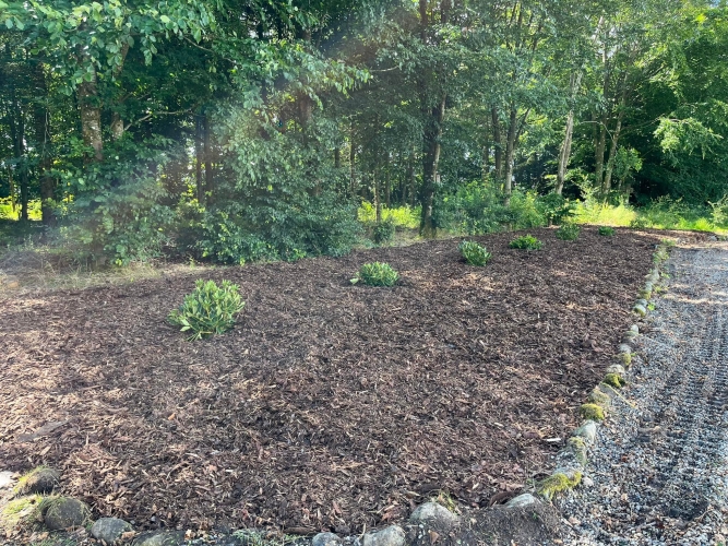 Nyanlæg af have i Holstebro