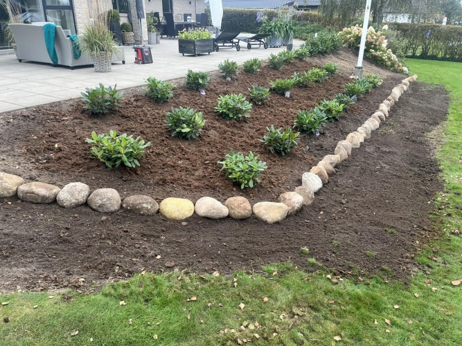 Nyanlæg af have i Skive