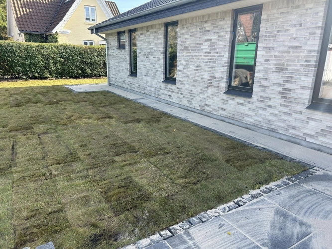 rullegræs ny plæne