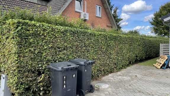 Hækklipning i Holstebro