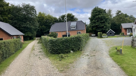 Hækklipning i Skive