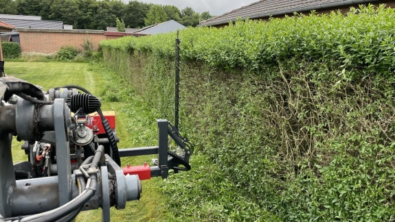 Hækklipning i Viborg