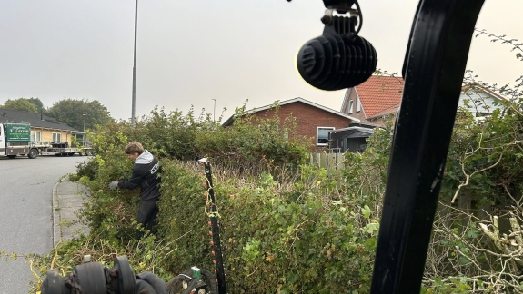 Hækklipning i Viborg