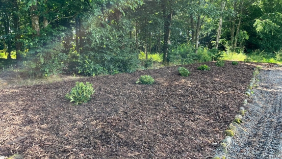 Nyanlæg af have i Holstebro