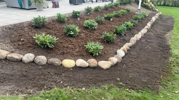 Nyanlæg af have i Skive