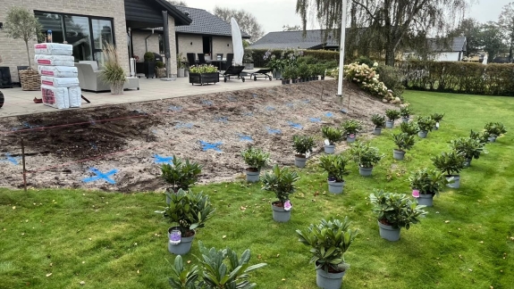 Nyanlæg af have i Viborg