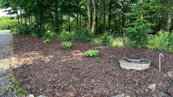 Nyanlæg af have i Skive