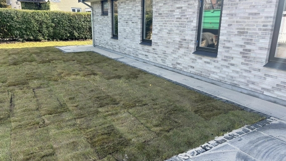 rullegræs ny plæne