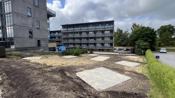 såning af græsplæne