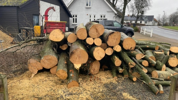Træfældning i Holstebro